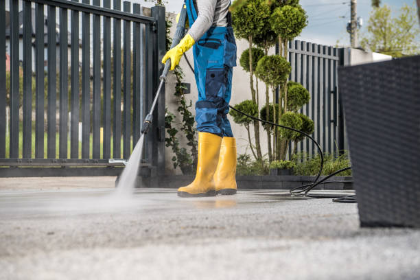 Best Fence Cleaning  in Rio Verde, AZ